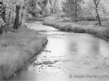 Penner: A walk in the park - Calgary Herald