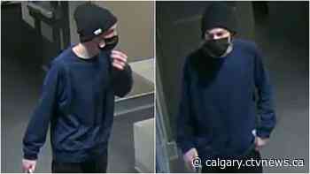 Calgary police arrest 1 man, seek another in connection with woman's death | CTV News - CTV News Calgary