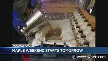 Maple Weekend makes its sweet return