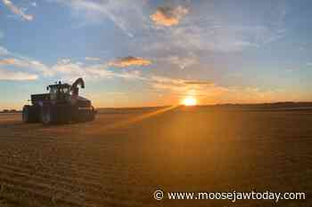 Agrimart: Saskatchewan farmland values up substantially except southwestern region - Moose Jaw Today
