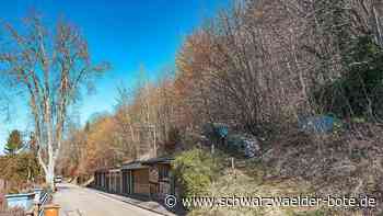 Grundstücks-Ping-Pong in Calw - Bürgerin echauffiert sich über Stadt - Schwarzwälder Bote