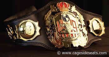 Austin Aries and Homicide have a chance to win this beautiful new NWA title - Cageside Seats