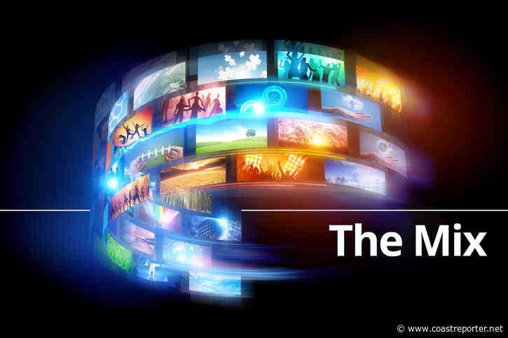 4 wounded in shooting in Austin, Texas; suspect in custody - Coast Reporter