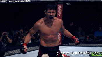 Filmmaker Michael Hamilton on Michael Bisping and the UFC world - Digital Trends