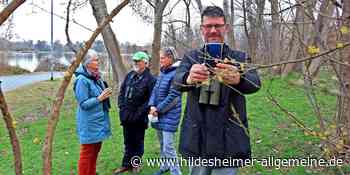 Mitmach-Aktion in Hildesheim: Mit Bioblitz blitzschnell die Natur entdecken - www.hildesheimer-allgemeine.de