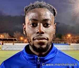 ECCELLENZA. Il Porto Sant'Elpidio non sbaglia e San Marco ko - marcheingol.it