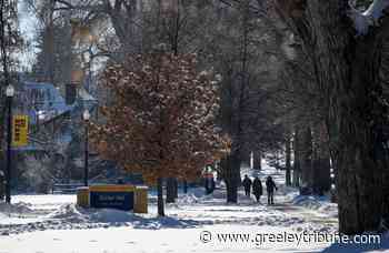 University of Northern Colorado selects new executive vice president and provost - Greeley Tribune
