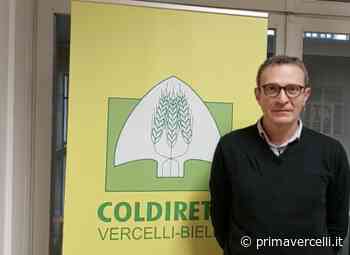 Coldiretti: "Prezzi prodotti agricoli alle stelle, ma noi ci rimettiamo" - Prima Vercelli