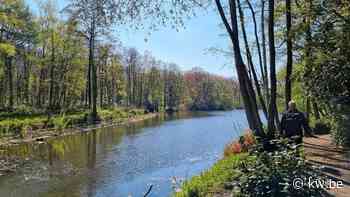 Vissen van Provinciaal Domein 't Veld in Ardooie in nood - KW.be