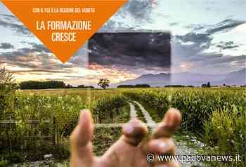 Este: Workshop “Una rete di opportunità – ATS” - Padova News