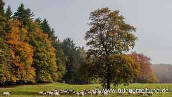 Rhön: Biosphärenwochen mit über 50 Angeboten starten am 30. April - Fuldaer Zeitung