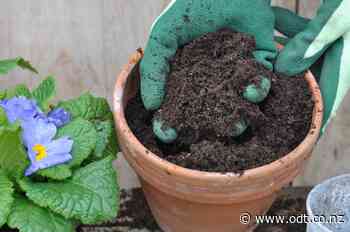 Gardener sounds warning after serious Legionellosis infection - Otago Daily Times