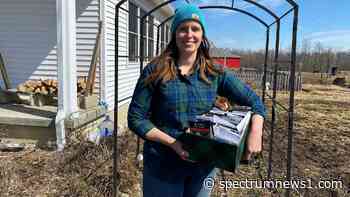 Northeast Ohio gardener gives advice on navigating inflation this spring - Spectrum News 1