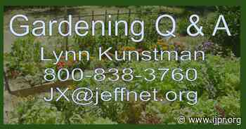 Waiting for spring--and water--with our resident Master Gardener - Jefferson Public Radio