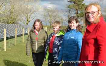 Rural school becomes greenest in County Durham - News - Teesdale Mercury