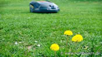 Mähroboter ging in Herzogenaurach spektakulär in Flammen auf - Nordbayern.de