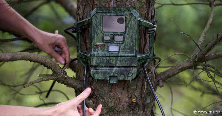 Mannheim:  39-Jähriger stiehlt Wildkamera