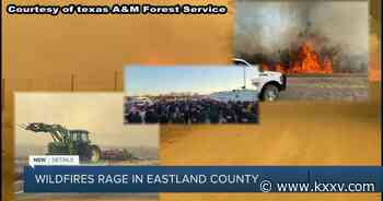 Texas A&M Forest Service joins in to fight Eastland complex fires - 25 News KXXV and KRHD