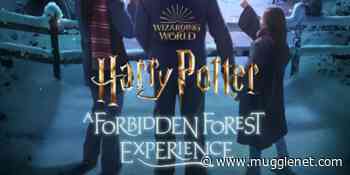 Tickets for Harry Potter: A Forbidden Forest Experience To Go on Sale for New Season - MuggleNet