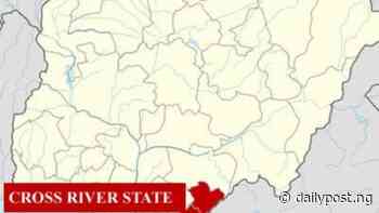 Cross River community raises alarm as ‘green bandits’ take over Okuni forest - Daily Post Nigeria