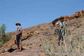 Into the Wild - Rosebank Killarney Gazette