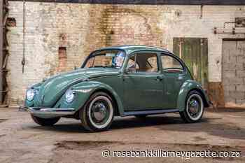 Car and Classic: a tale of two Beetles - Rosebank Killarney Gazette