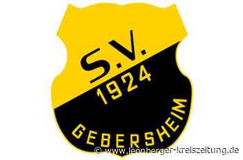 SV Gebersheim - Verein plant einen Kunstrasenplatz - Leonberger Kreiszeitung