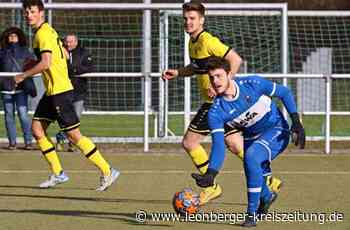 Fußball-Landesliga - Wichtige Punkte im Abstiegskampf - Leonberger Kreiszeitung