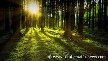 Croatia Marking International Forest Day - Total Croatia News