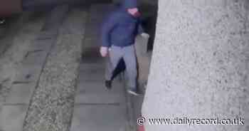 Scots couple devastated as thief trashes home and leaves trail of blood behind - Daily Record