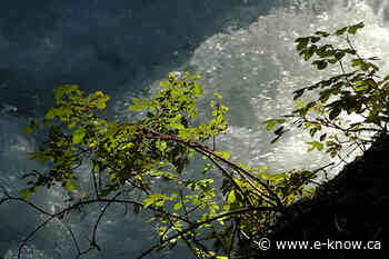 MCA supportive of BC Trail Fund proposal | East Kootenay, Kimberley - E-Know.ca