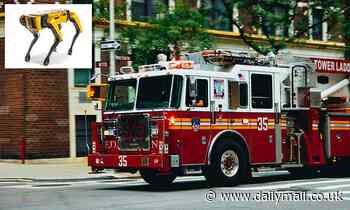 Boston Dynamics' $75,000 robot dogs join the New York Fire Department