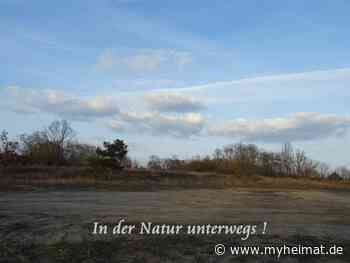 Ein super Frühlingsanfang ! - Lutherstadt Wittenberg - myheimat.de