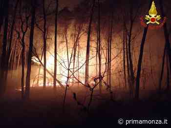 Un altro vasto incendio al Parco delle Groane - Prima Monza
