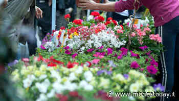 Gonfiabili e bancarelle per la festa di Primavera - MonzaToday
