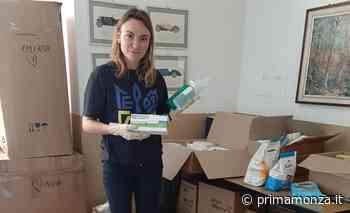 Da Monza partono camion carichi di aiuti e speranza - Prima Monza