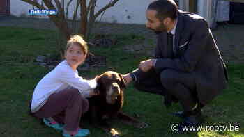 Staatssecretaris Sammy Mahdi bezoekt gezin in Tielt-Winge dat Oekraïense vluchtelingen opvangt: "Organiseer dit niet zelf" - ROB-tv