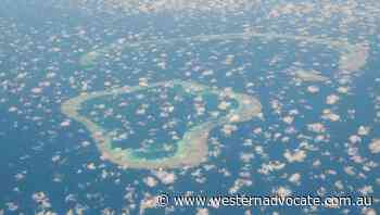 Boat sinks off WA coast, nine feared dead - Western Advocate