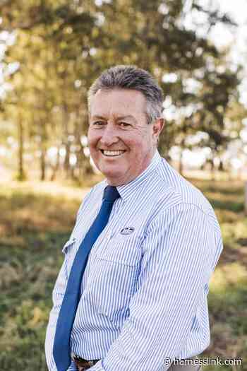 Bathurst Gold Crown Yearling Sale on Sunday - Harnesslink