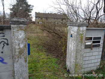 Wenn ein Haus länger leer steht ! - Lutherstadt Wittenberg - myheimat.de - myheimat.de