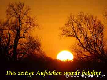 Das zeitige Aufstehen wurde belohnt ! - Lutherstadt Wittenberg - myheimat.de - myheimat.de