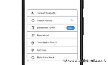 Android update allows users to DELETE the last 15 minutes of their Google search history