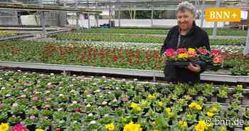 Gärtner rund um Bruchsal bereiten sich auf den Frühling vor - BNN - Badische Neueste Nachrichten