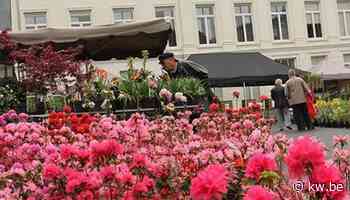 Menen trakteert inwoners op alternatief kerstfeest: 'Vijgen na Pasen' - KW.be - KW.be