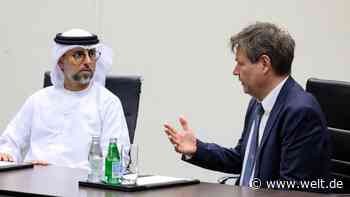 „Ich erwarte, dass die Emirate nicht zu Profiteuren der Sanktionen werden“