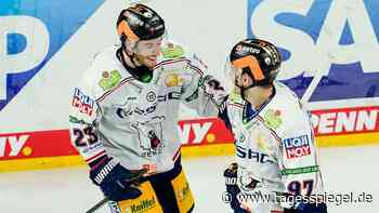 Machtdemonstration in Mannheim: Die Eisbären kommen furios aus der Quarantäne - Sport - Tagesspiegel