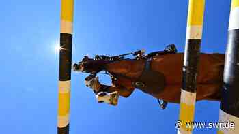 Live ab 15:45: Springreiten Nationenpreis Maimarkt Mannheim, 8.5. - SWR