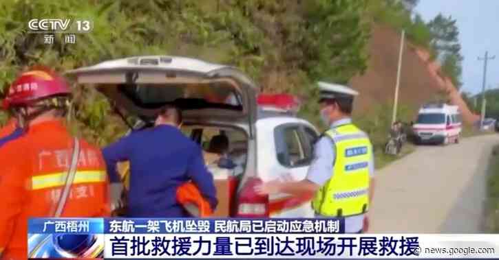 Chinese Boeing jet crashes in mountains with 132 on board, no sign of survivors - Reuters