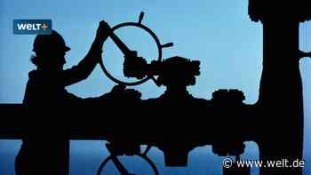 Nur etwas frieren? Die wahren Folgen des Gas-Embargos macht sich niemand klar