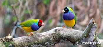 Redesigning our product design hiring process